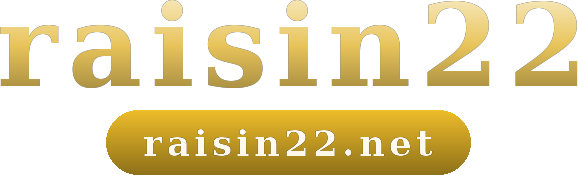 raisin22 logo